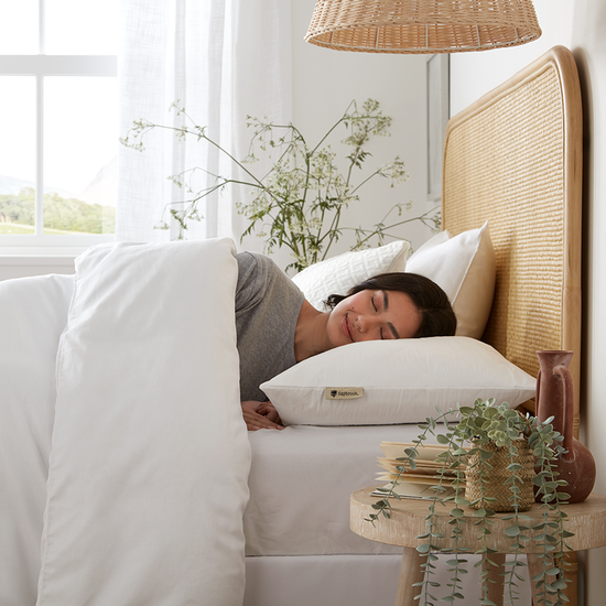 Pillow Protector Saybrook Sleep