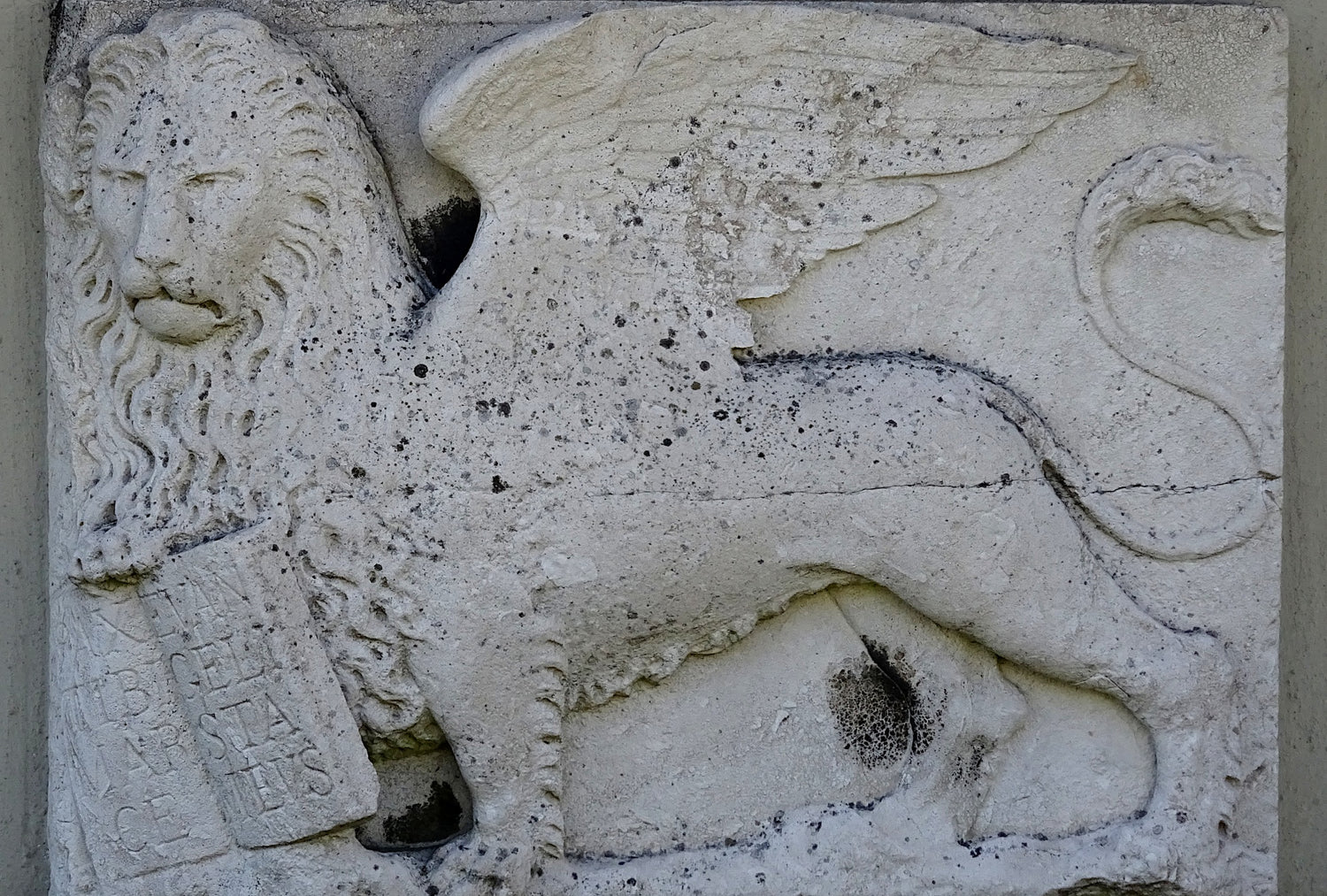 Winged Lion Stone Carving
